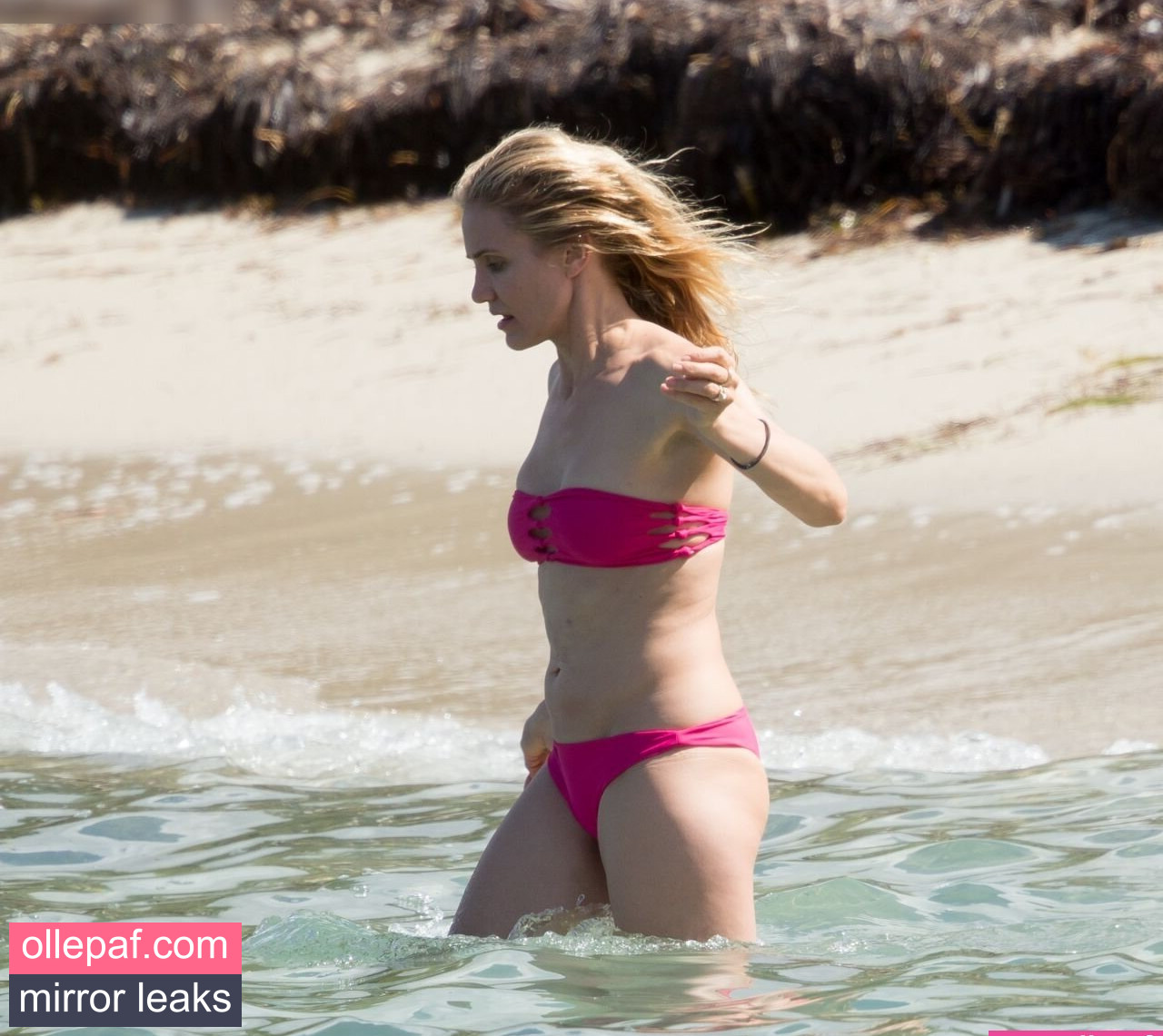 Latest Leaks Cameron Diaz Nude #92 - Fapello