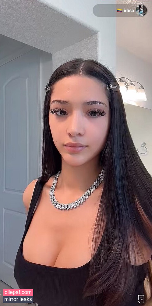 Latest Leaks camiihenaoo Nude #19 - Fapello