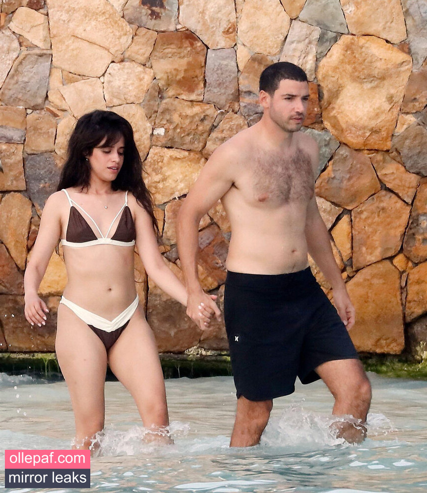 Latest Leaks Camila Cabello Nude #47 - Fapello