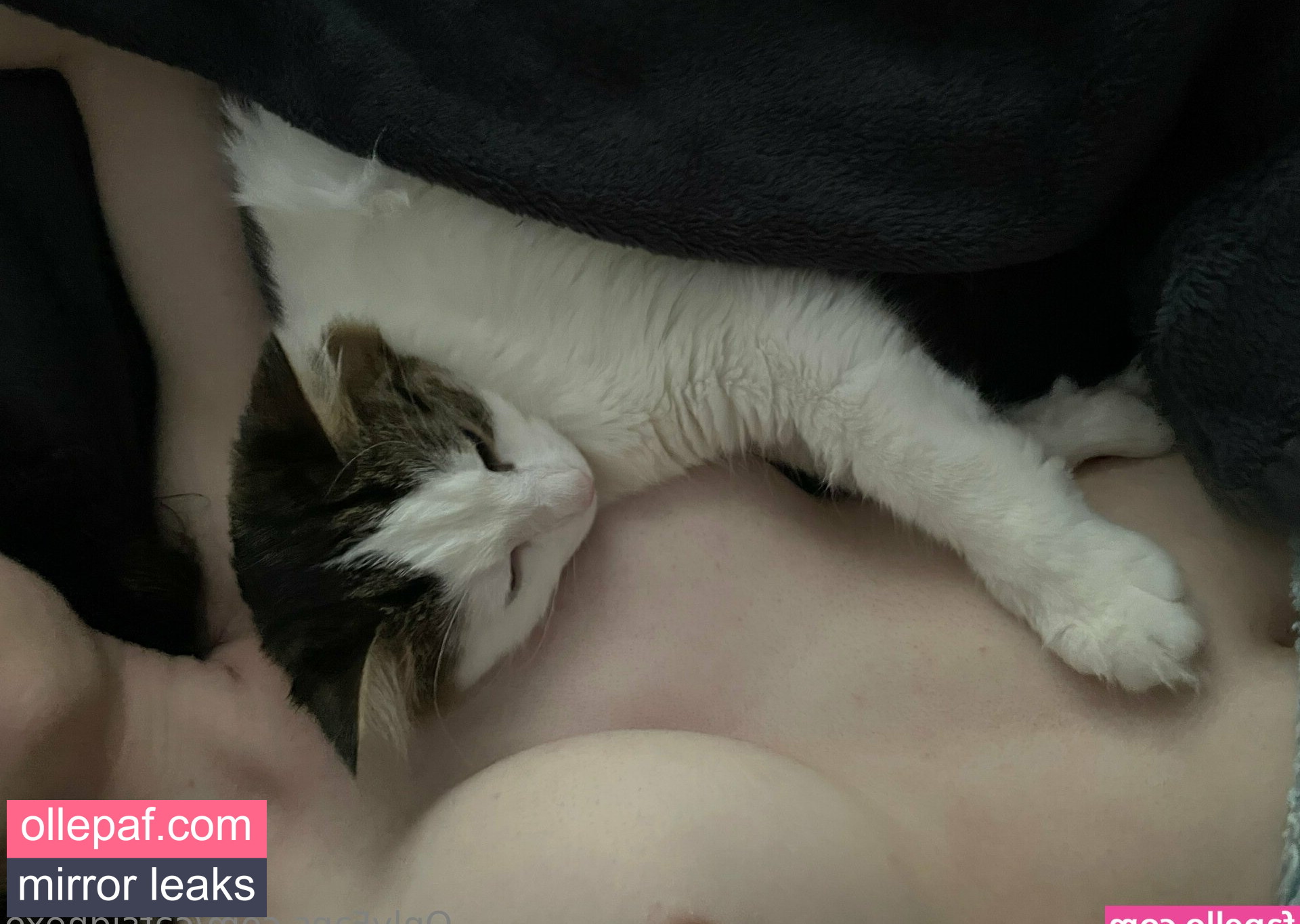 Latest Leaks catsidhexo Nude #6 - Fapello
