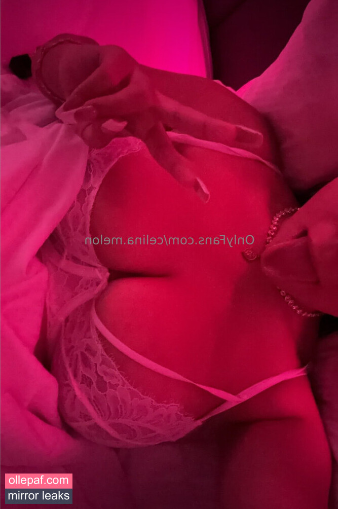 Latest Leaks Celina Melon Nude #2 - Fapello