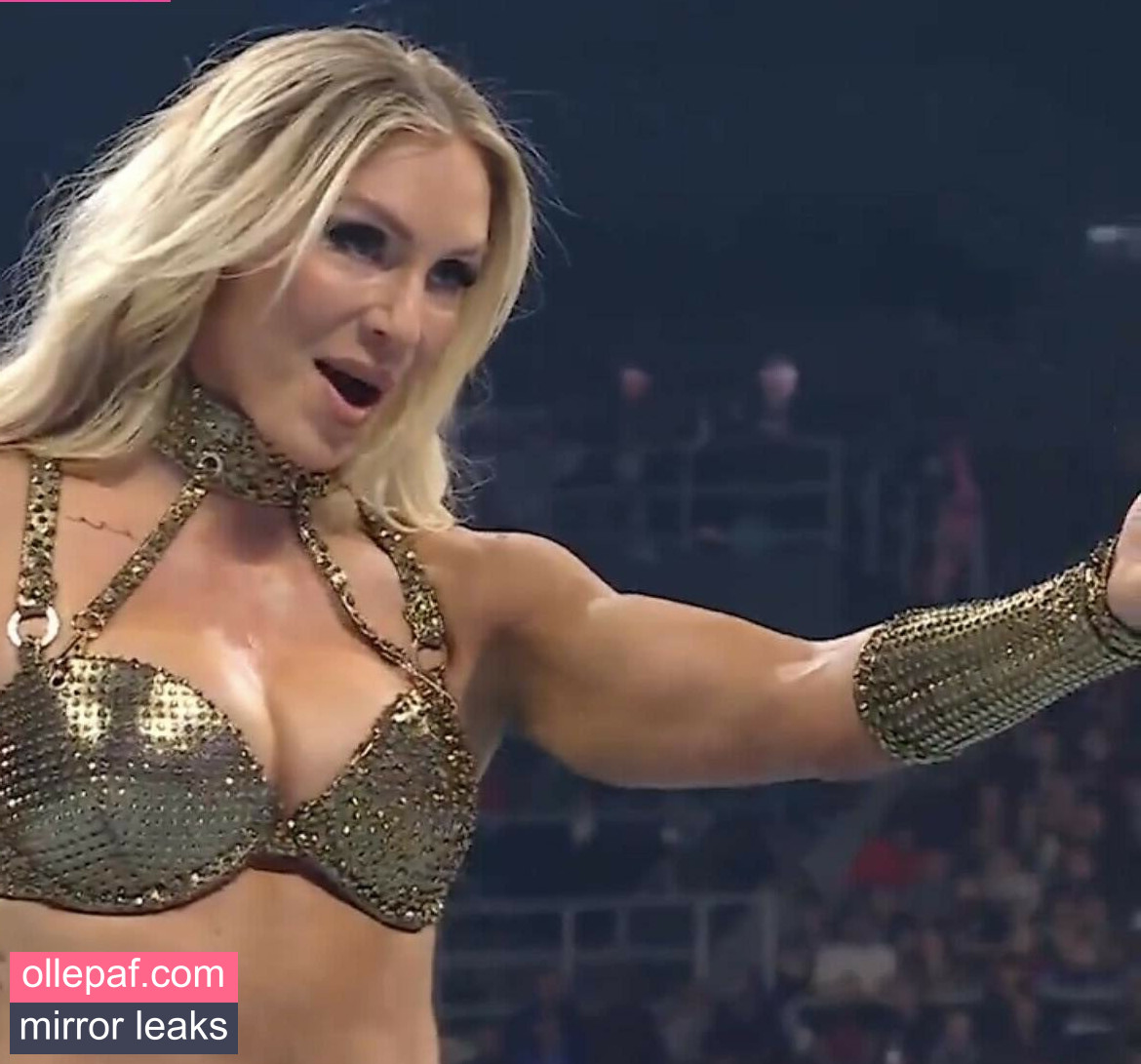Latest Leaks Charlotte Flair Nude #404 - Fapello