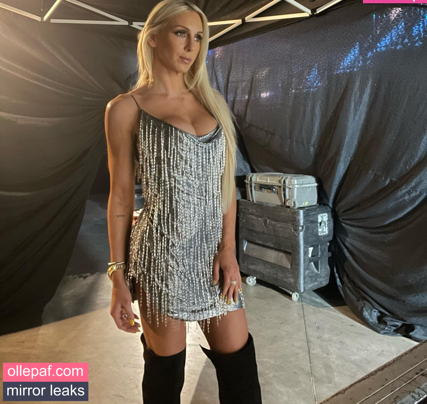 Latest Leaks Charlotte Flair Nude #701 - Fapello