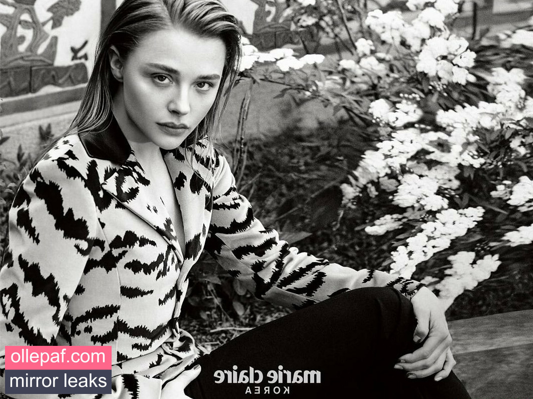 Latest Leaks Chloë Grace Moretz Nude #528 - Fapello