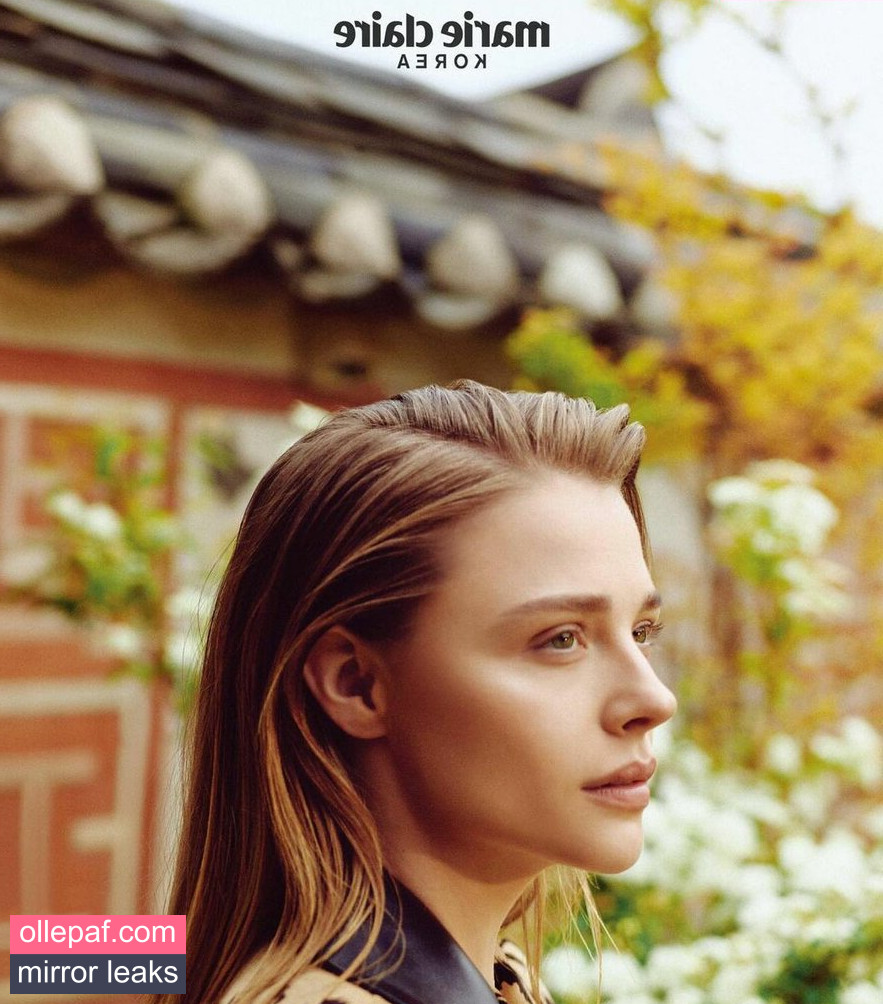 Latest Leaks Chloë Grace Moretz Nude #531 - Fapello