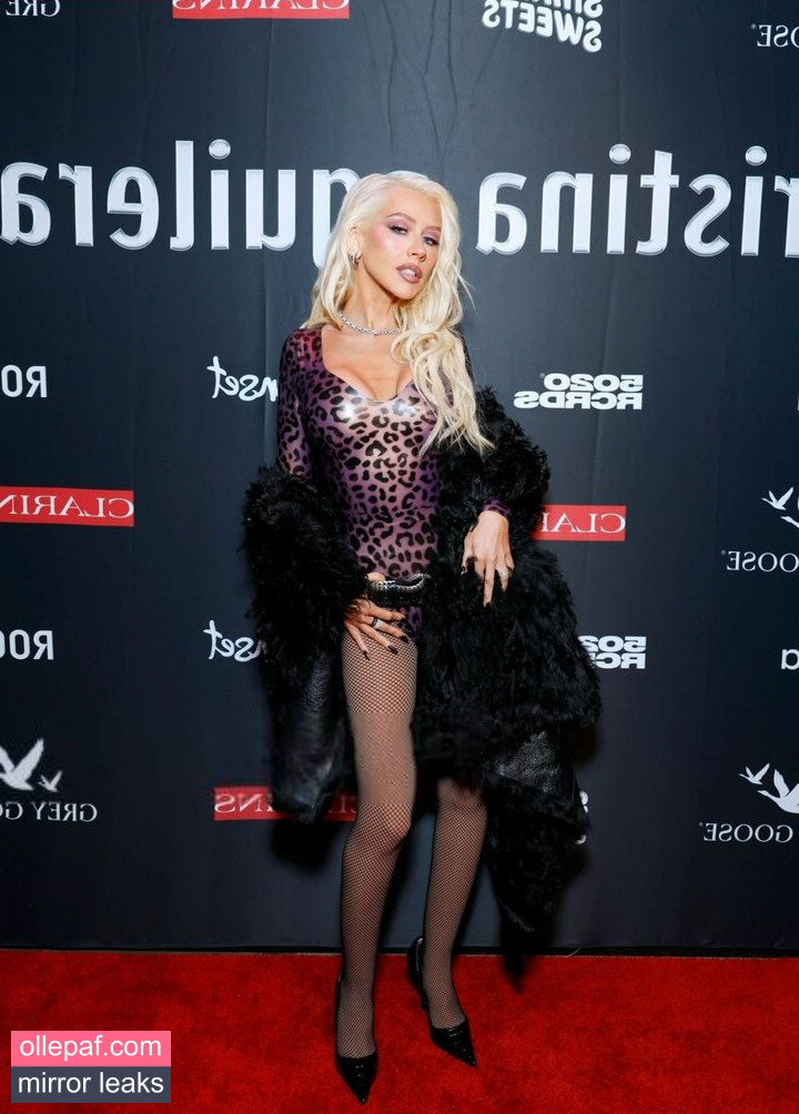 Latest Leaks Christina Aguilera Nude #510 - Fapello
