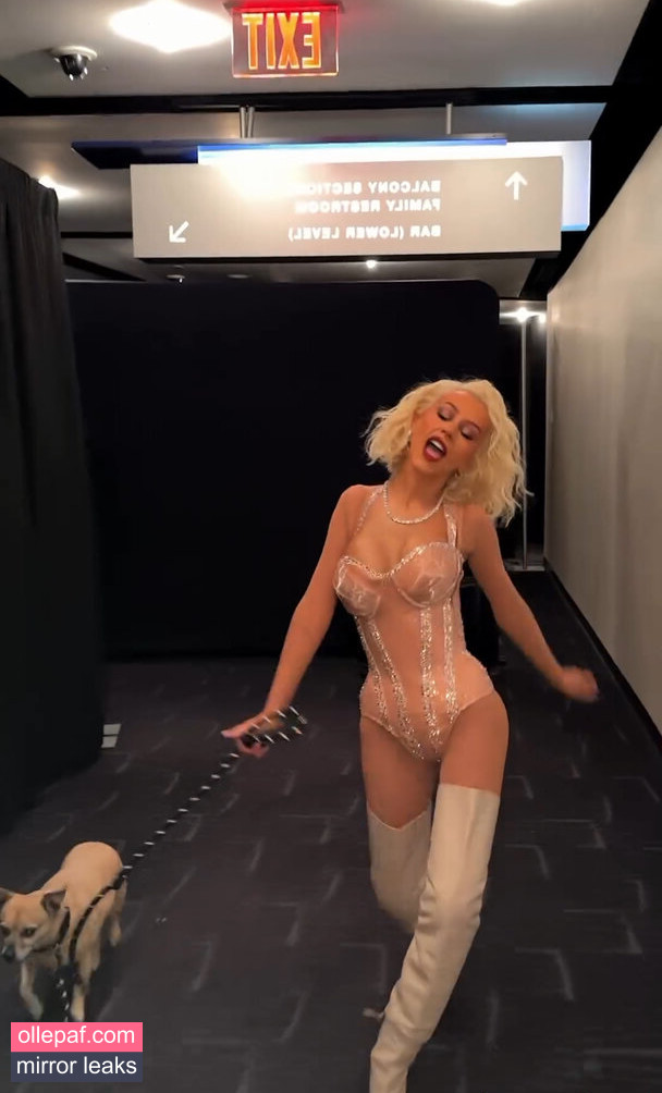 Latest Leaks Christina Aguilera Nude #684 - Fapello