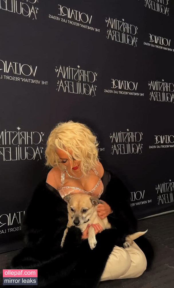 Latest Leaks Christina Aguilera Nude #692 - Fapello