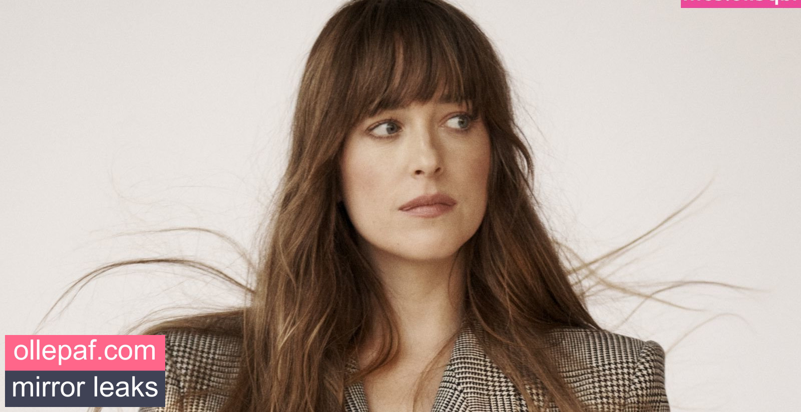 Latest Leaks Dakota Johnson Nude #1089 - Fapello
