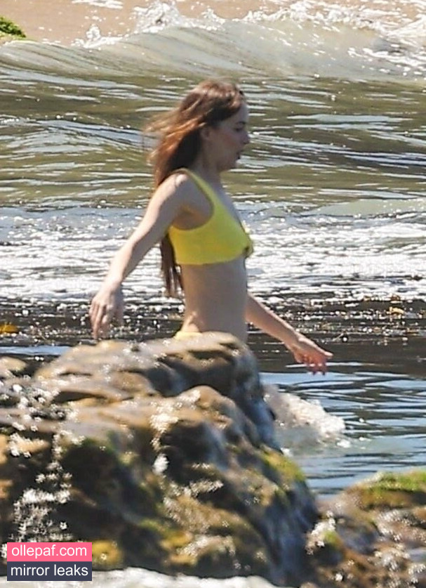 Latest Leaks Dakota Johnson Nude #184 - Fapello