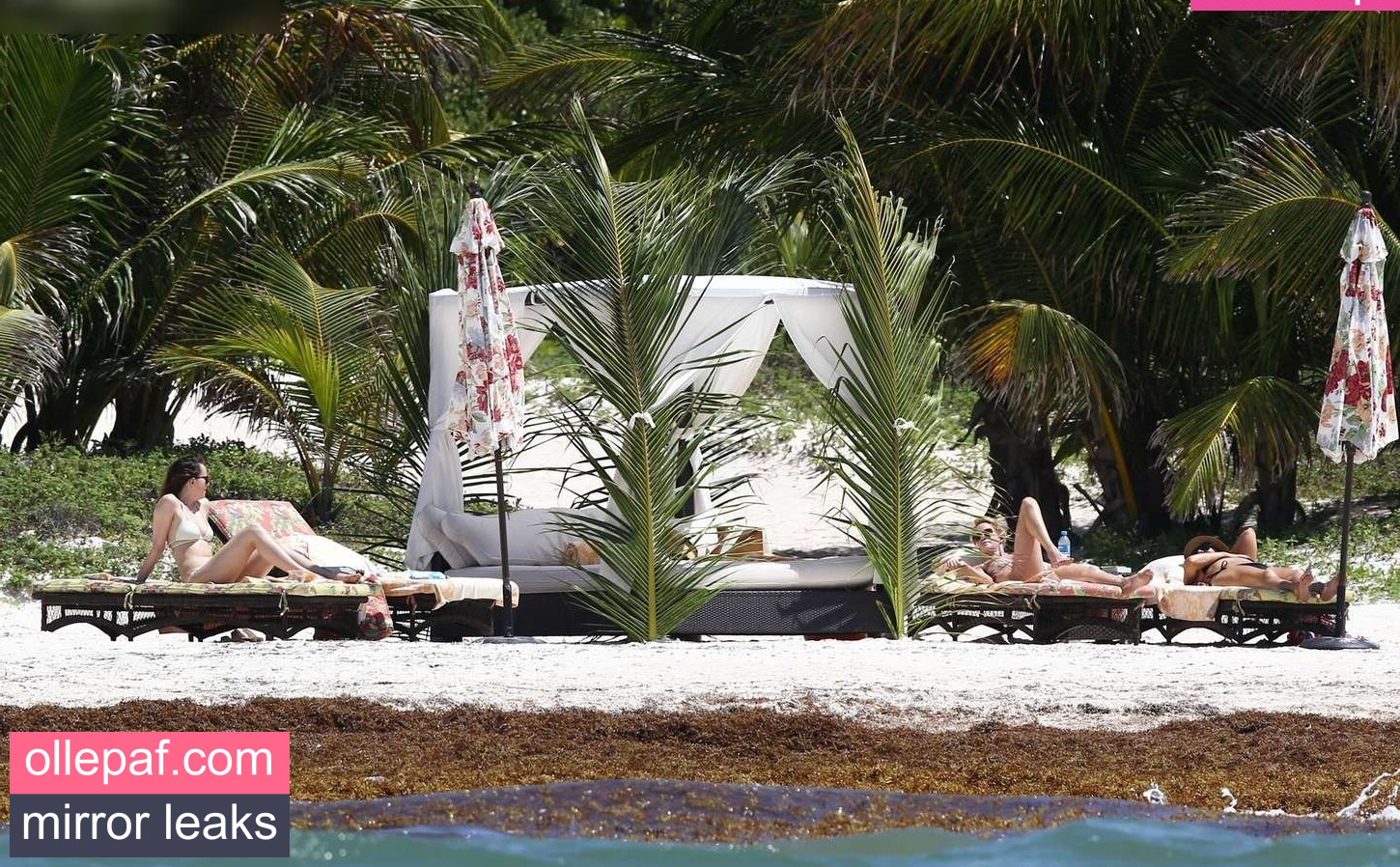 Latest Leaks Dakota Johnson Nude #200 - Fapello