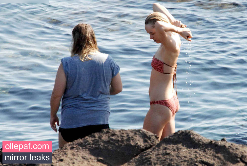 Latest Leaks Dakota Johnson Nude #225 - Fapello