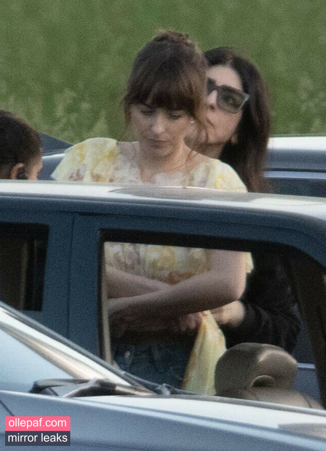 Latest Leaks Dakota Johnson Nude #394 - Fapello