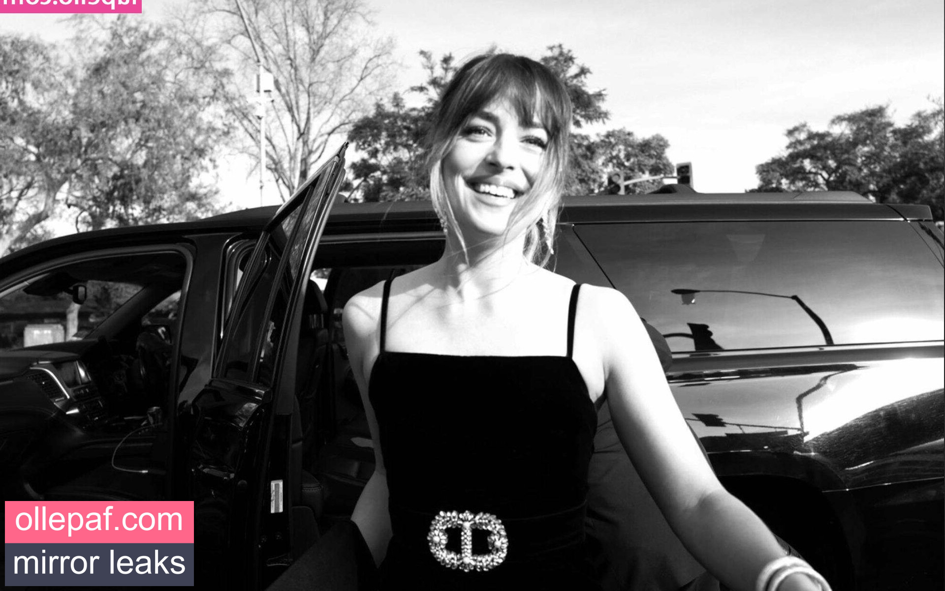 Latest Leaks Dakota Johnson Nude #628 - Fapello