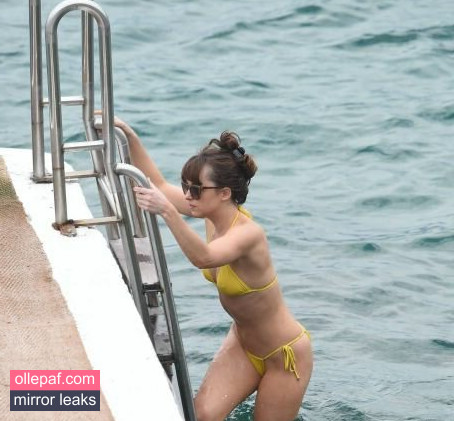 Latest Leaks Dakota Johnson Nude #740 - Fapello