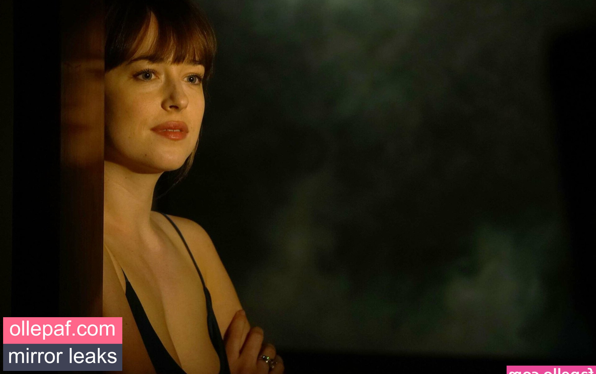 Latest Leaks Dakota Johnson Nude #772 - Fapello