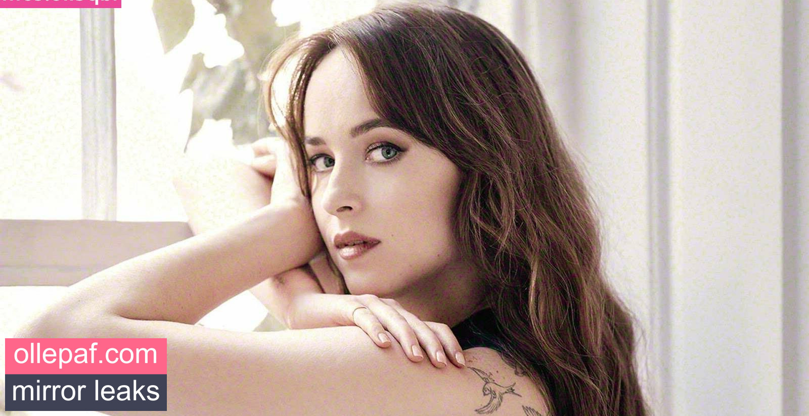 Latest Leaks Dakota Johnson Nude #780 - Fapello