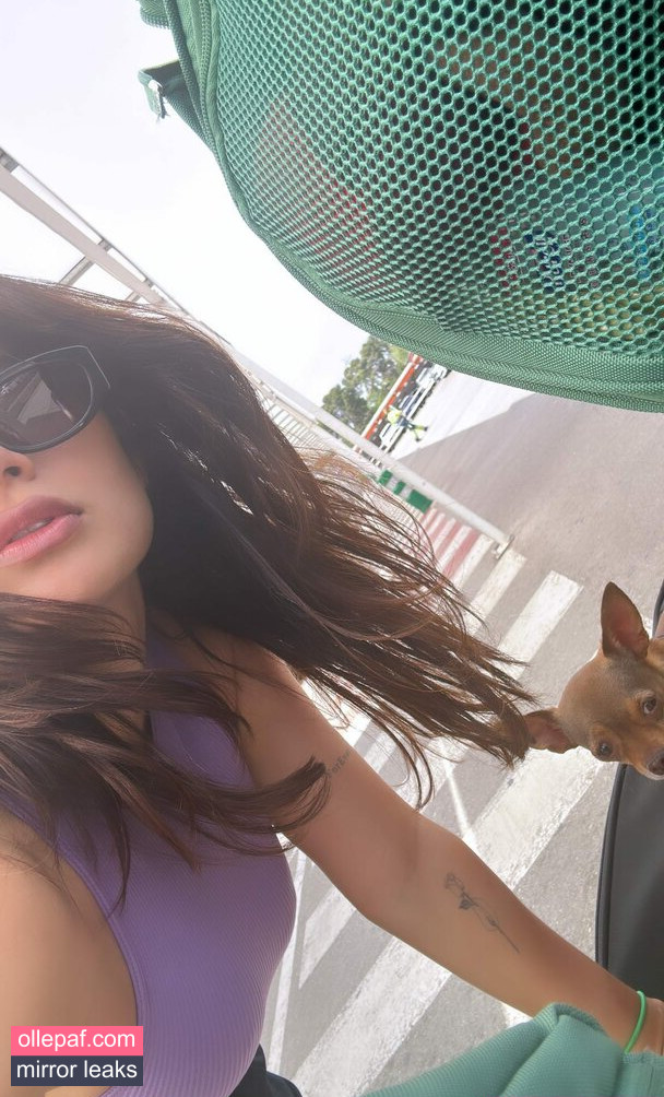 Latest Leaks Diane Guerrero Nude #387 - Fapello