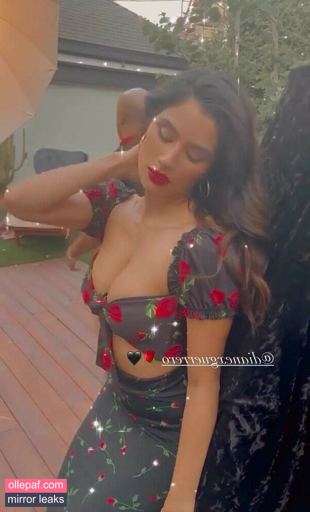 Latest Leaks Diane Guerrero Nude #513 - Fapello