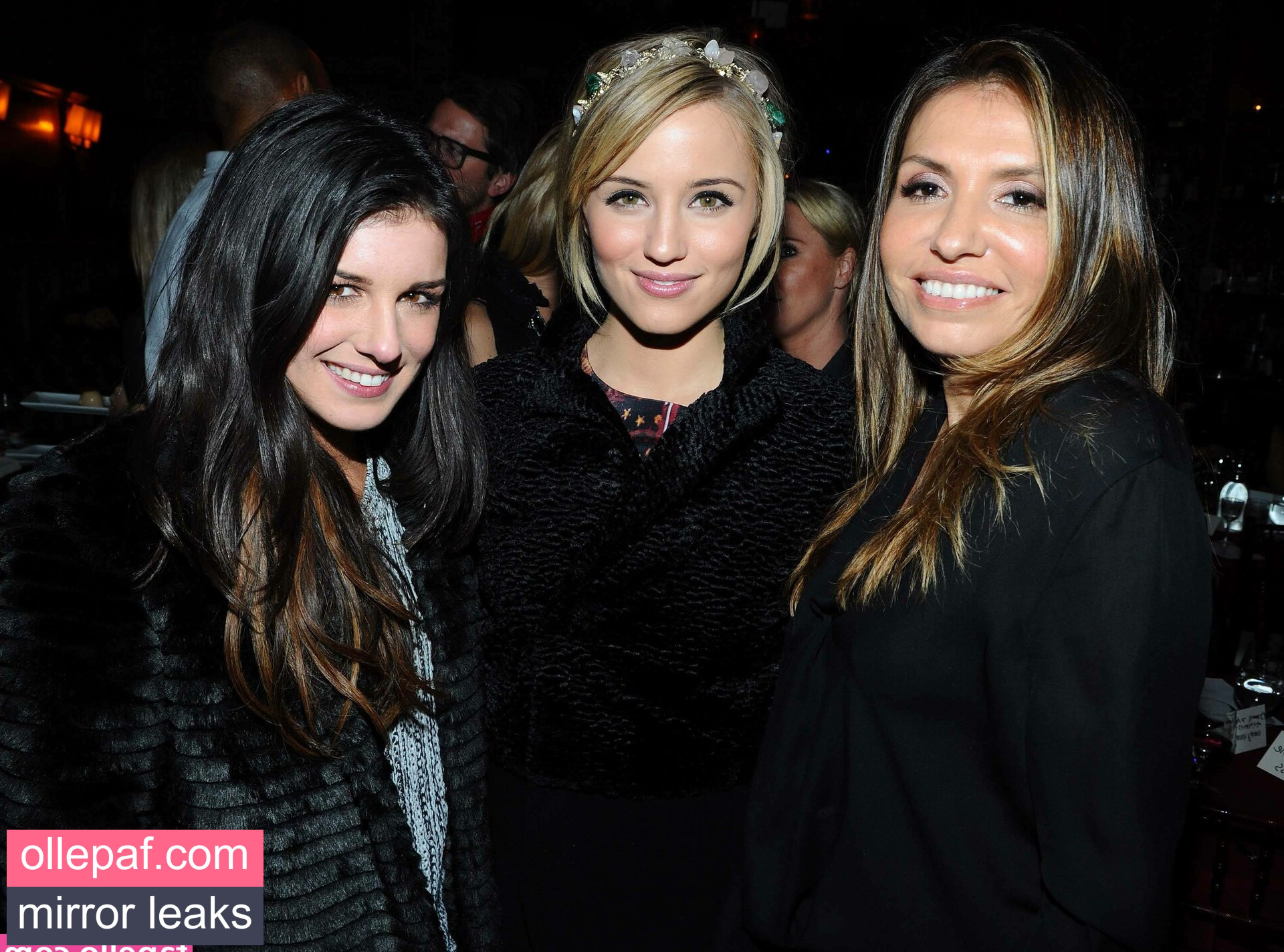 Latest Leaks Dianna Agron Nude #146 - Fapello