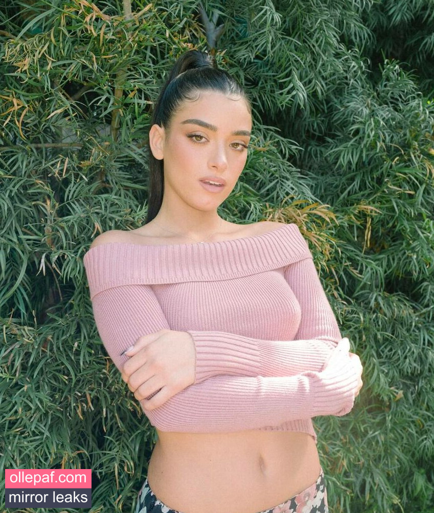 Latest Leaks DixieDamelio Nude #2 - Fapello
