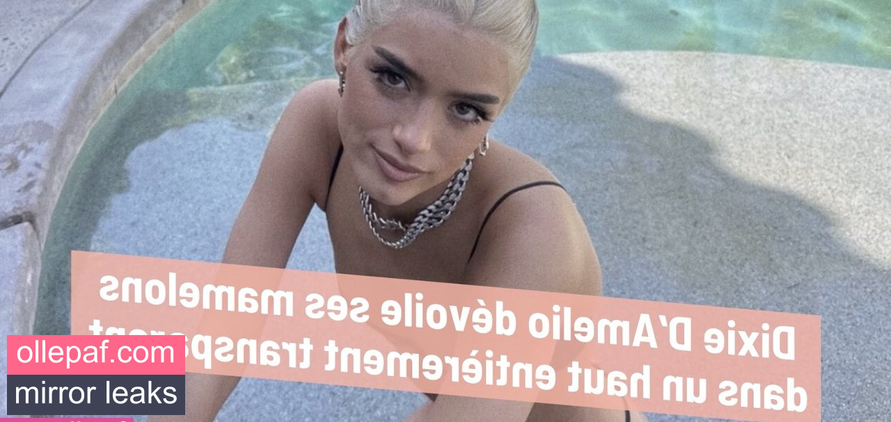 Latest Leaks DixieDamelio Nude #5 - Fapello