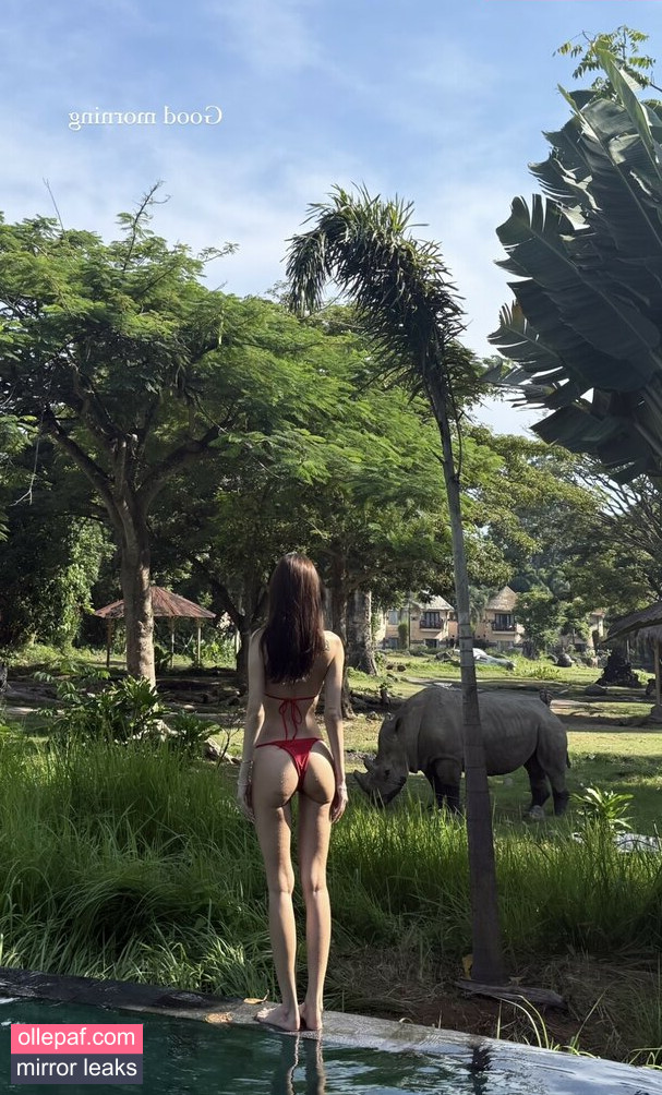 Latest Leaks djjaderasif Nude #3 - Fapello