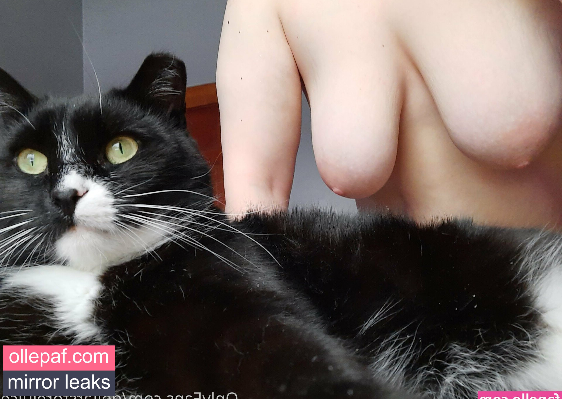 Latest Leaks dollarstorejuice Nude #303 - Fapello