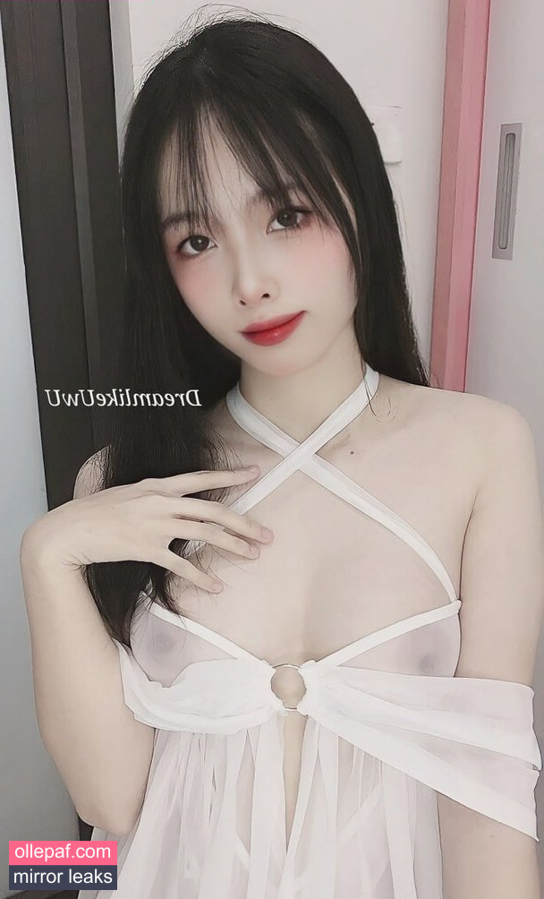 Latest Leaks DreamlikeUwU Nude #116 - Fapello
