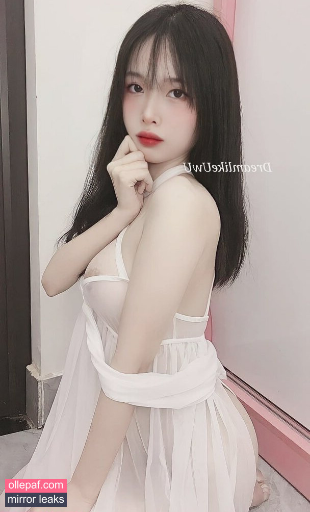 Latest Leaks DreamlikeUwU Nude #117 - Fapello