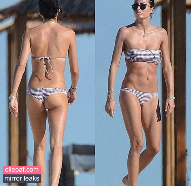 Latest Leaks Elisabetta Gregoraci Nude #165 - Fapello
