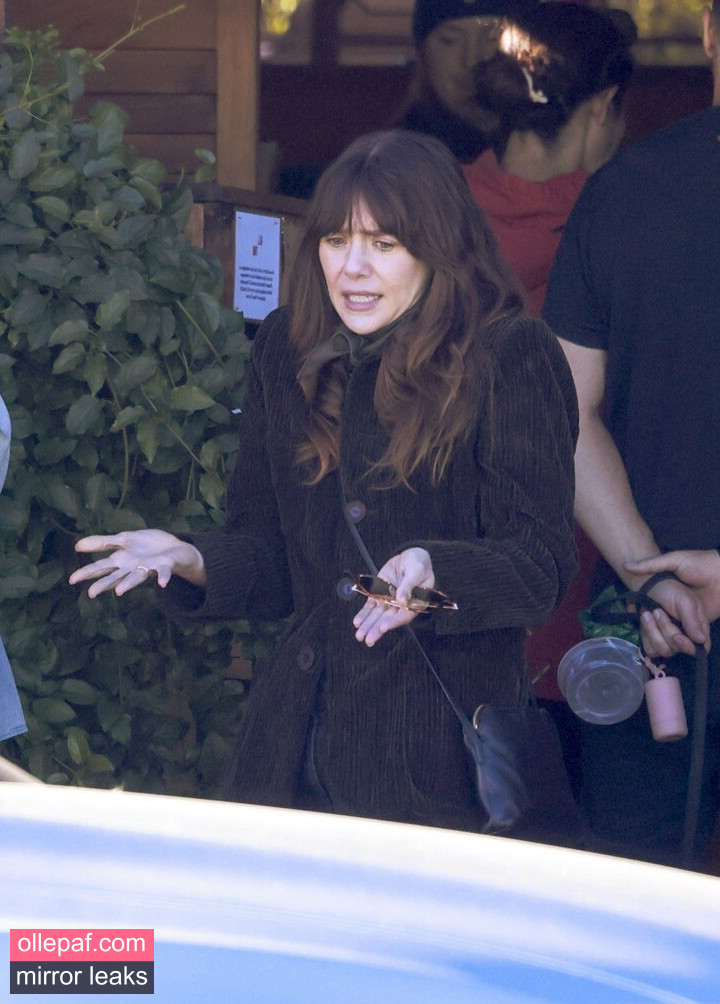 Latest Leaks Elizabeth Olsen Nude #142 - Fapello