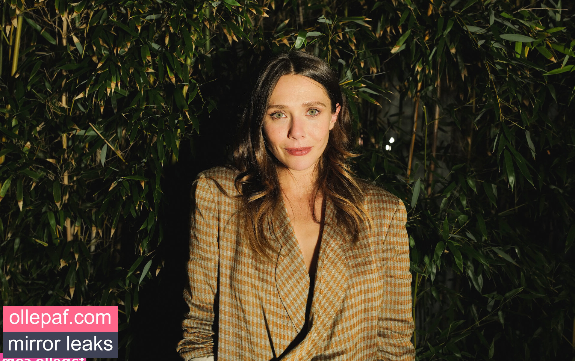 Latest Leaks Elizabeth Olsen Nude #308 - Fapello