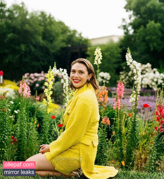 Latest Leaks Elizabeth Olsen Nude #480 - Fapello