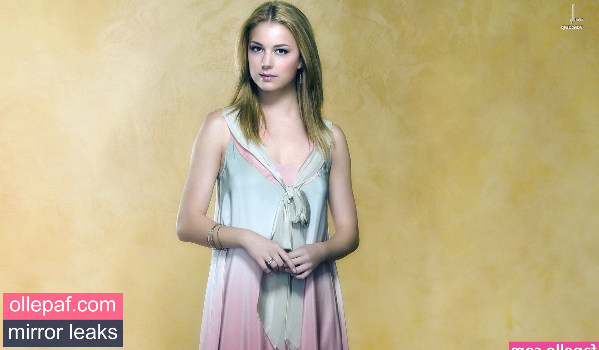 Latest Leaks Emily VanCamp Nude #69 - Fapello
