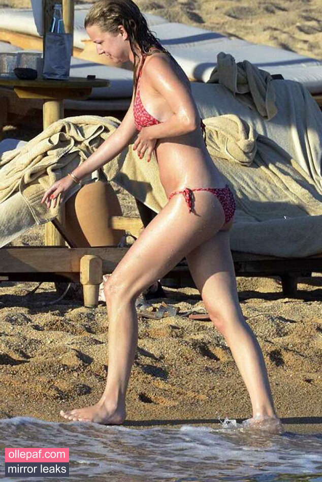 Latest Leaks Emily VanCamp Nude #73 - Fapello
