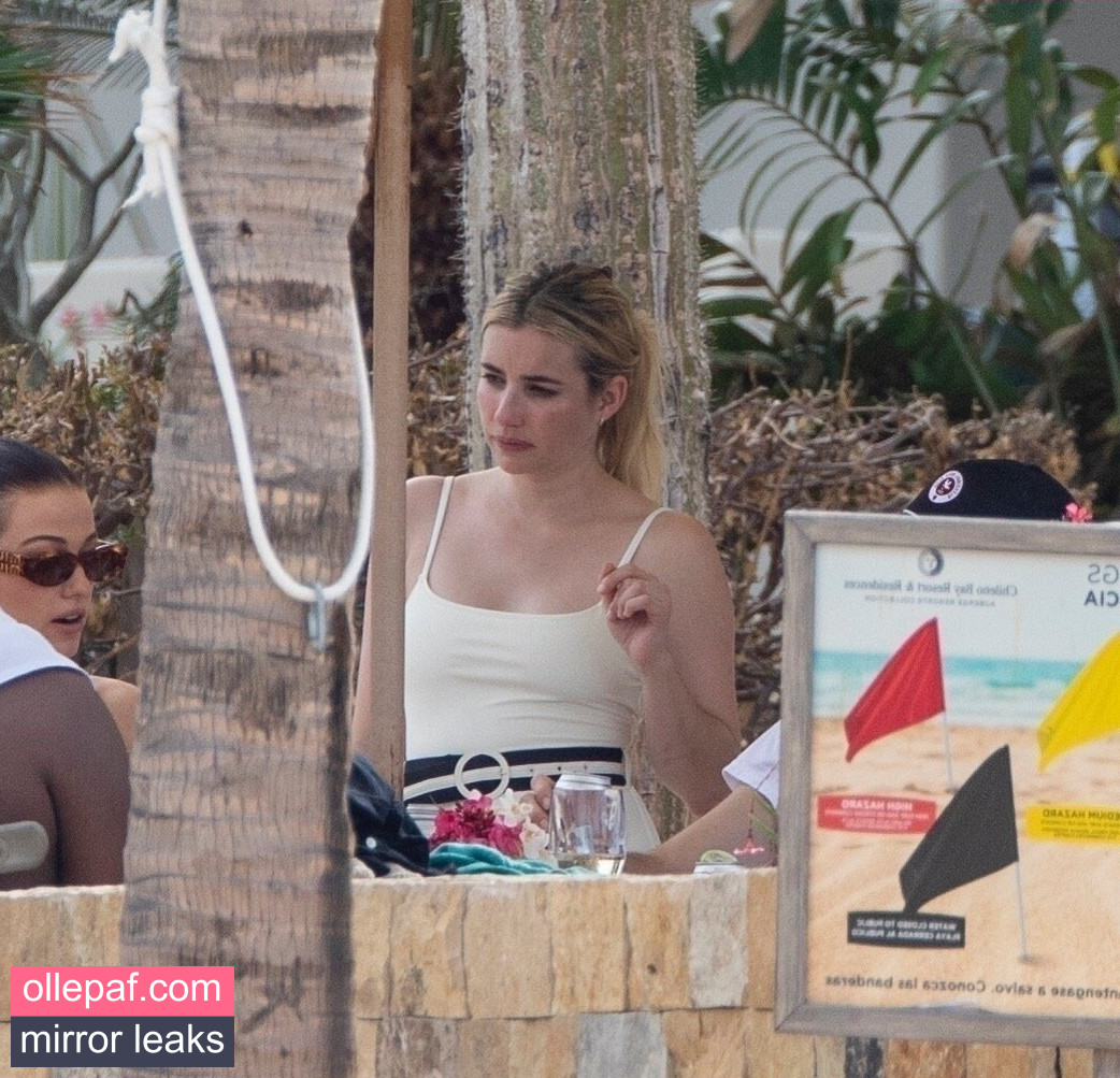 Latest Leaks Emma Roberts Nude #843 - Fapello