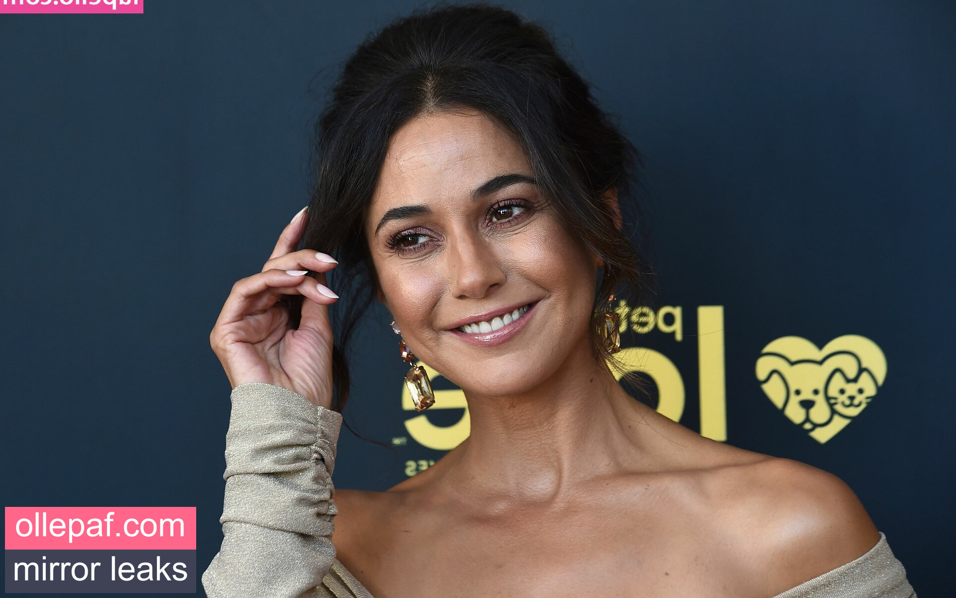 Latest Leaks Emmanuelle Chriqui Nude #397 - Fapello