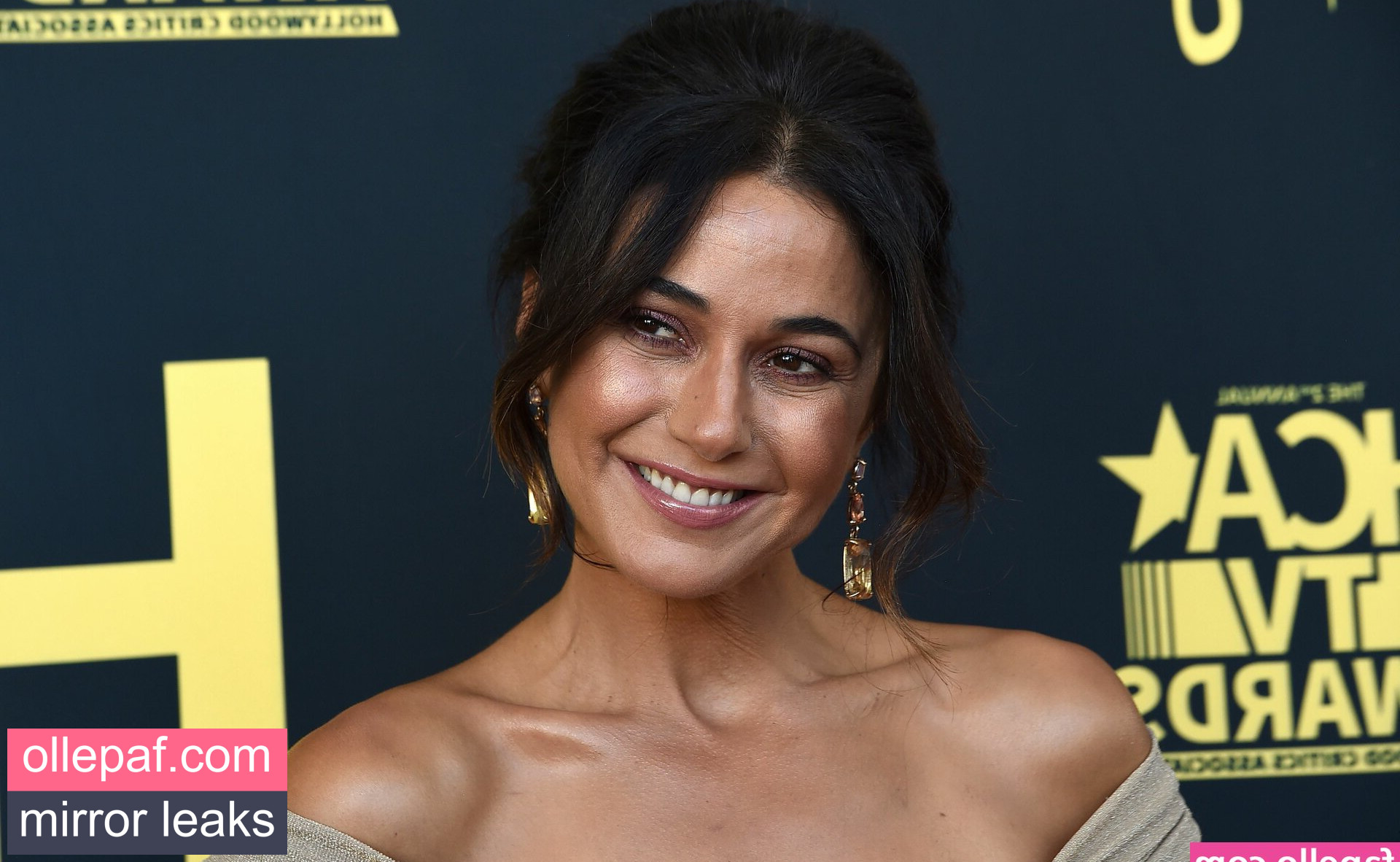 Latest Leaks Emmanuelle Chriqui Nude #399 - Fapello