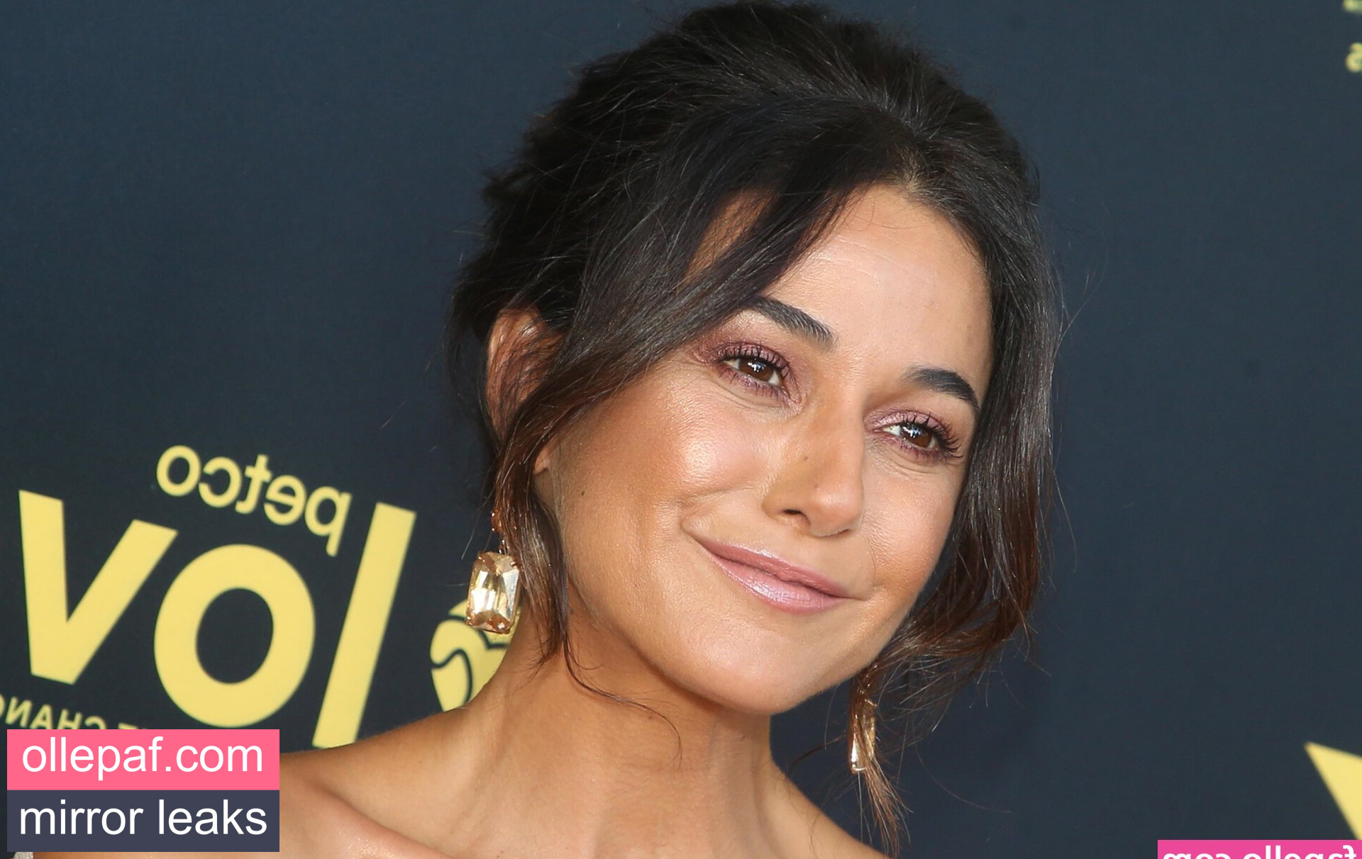 Latest Leaks Emmanuelle Chriqui Nude #404 - Fapello
