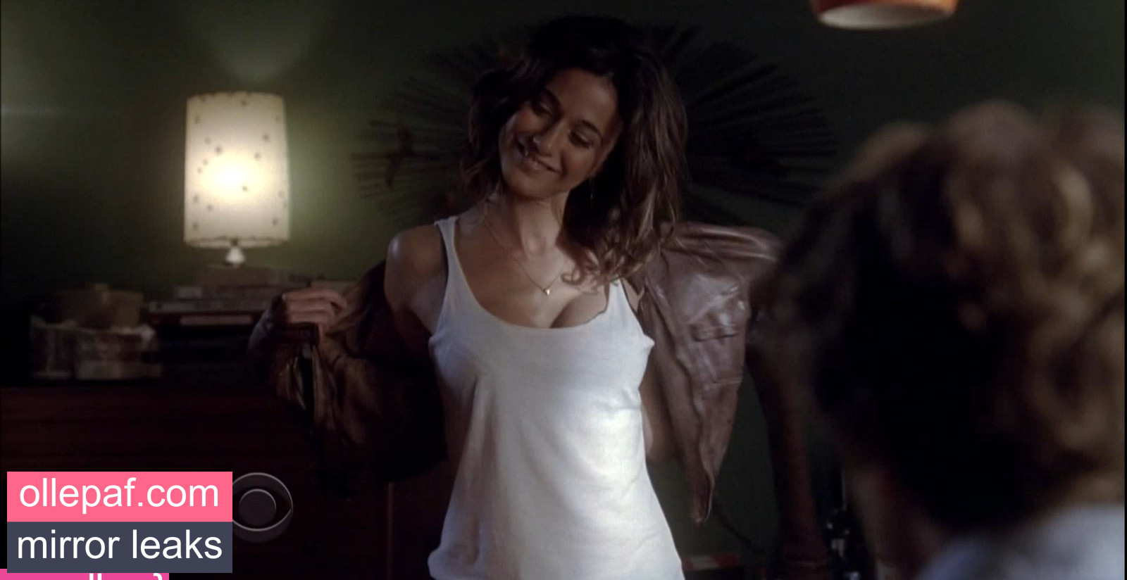 Latest Leaks Emmanuelle Chriqui Nude #755 - Fapello