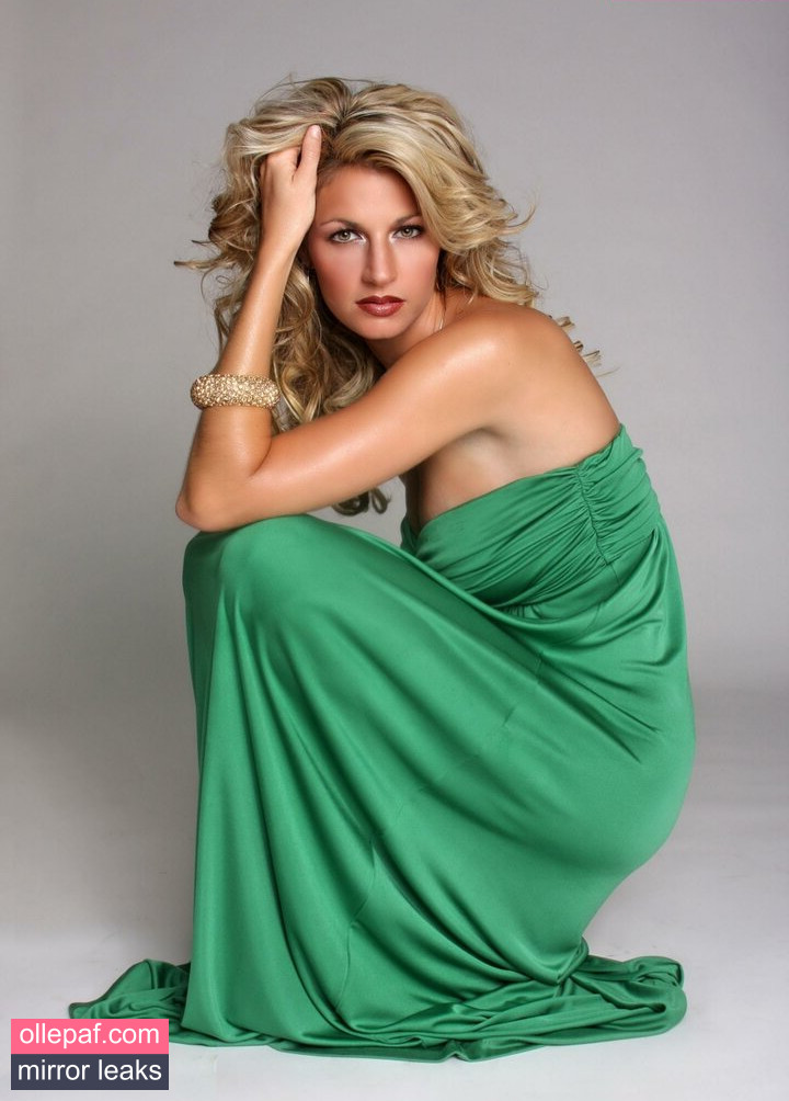 Latest Leaks Erin Andrews Nude #19 - Fapello