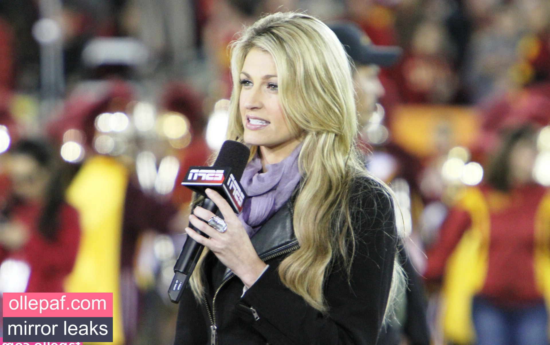 Latest Leaks Erin Andrews Nude #34 - Fapello