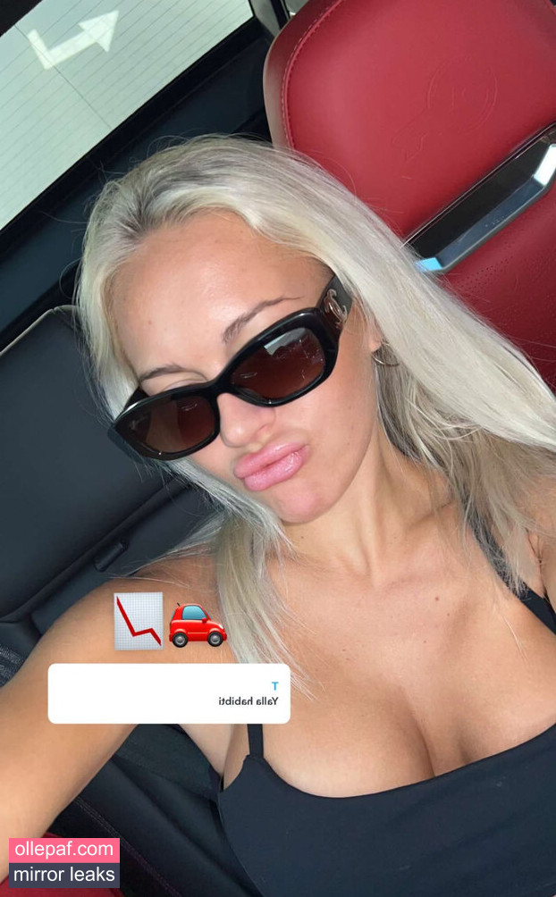 Latest Leaks Erna Husko Nude #203 - Fapello