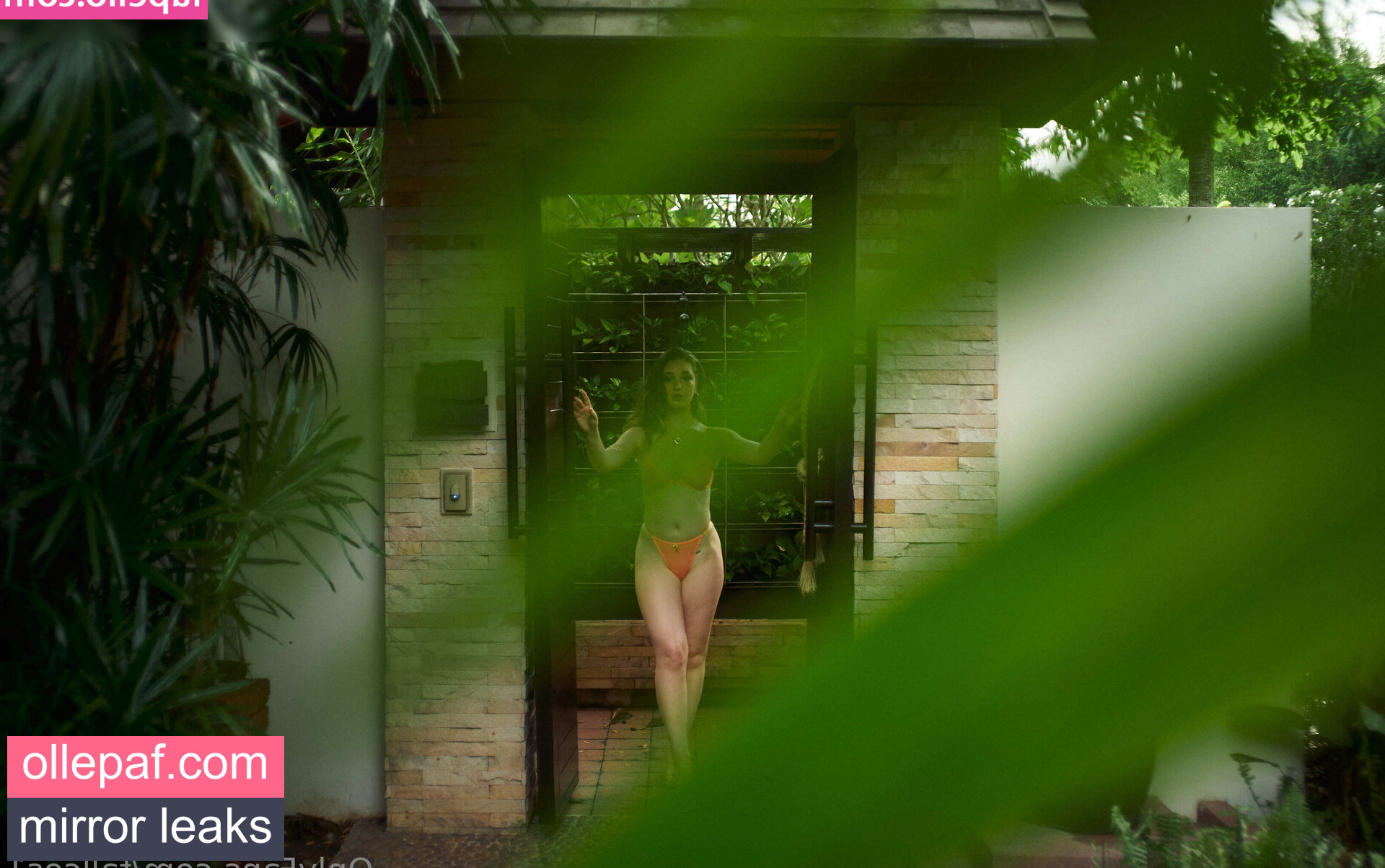 Latest Leaks fallcos1 Nude #69 - Fapello