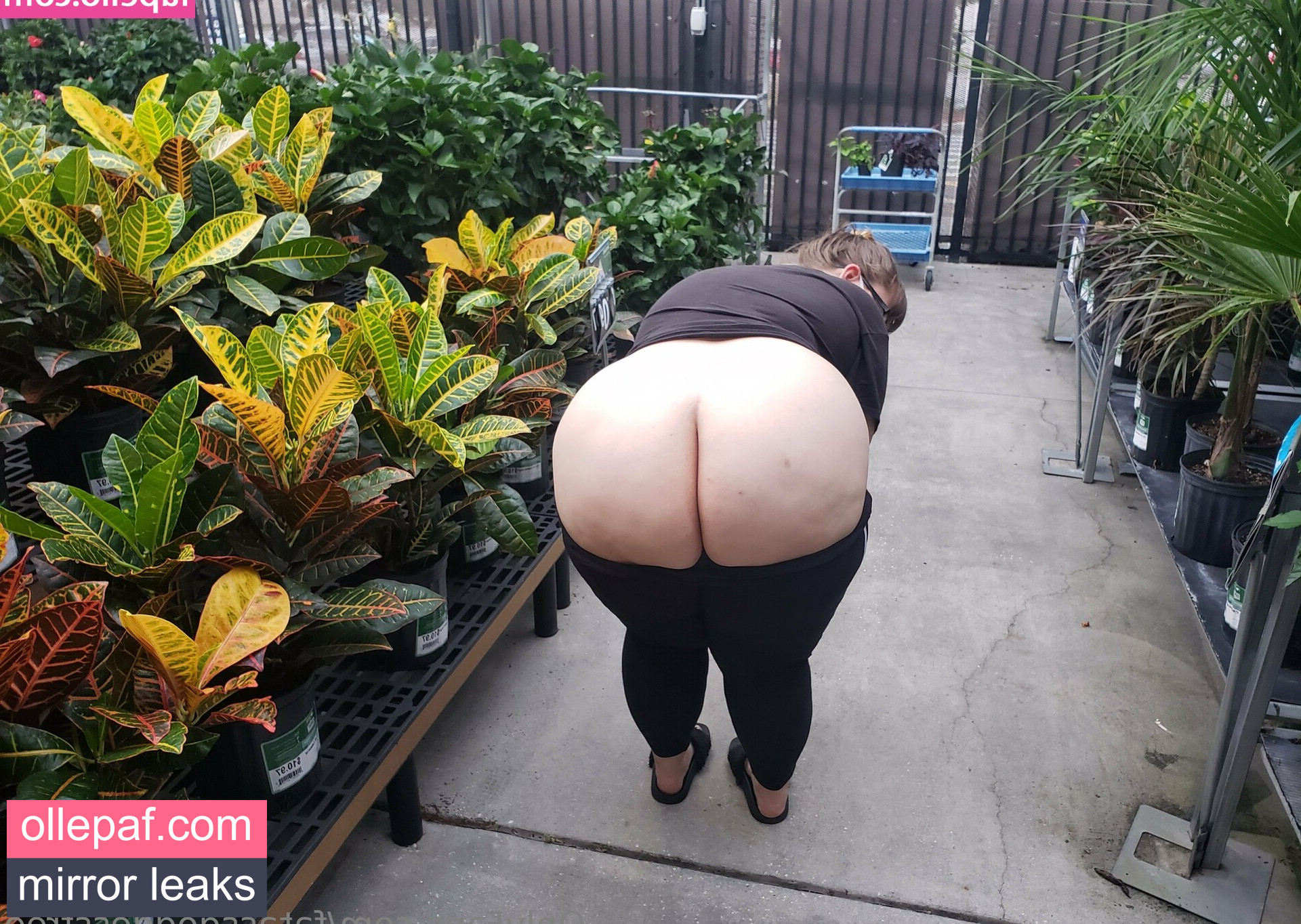 Latest Leaks fatassgoddessfree Nude #20 - Fapello