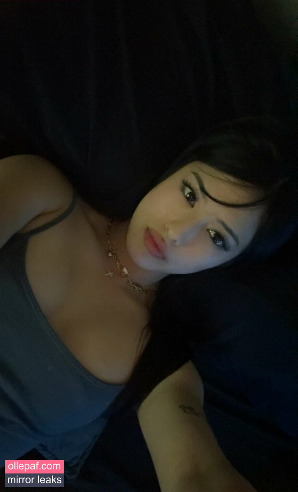 Latest Leaks Gabby.hua Nude #14 - Fapello