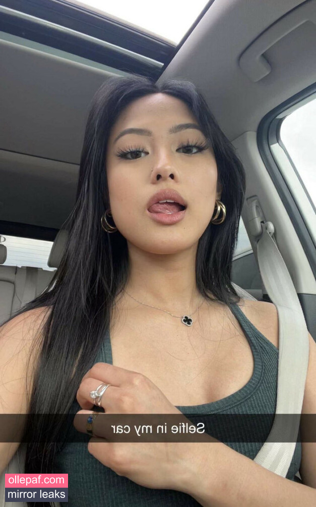 Latest Leaks Gabby.hua Nude #851 - Fapello