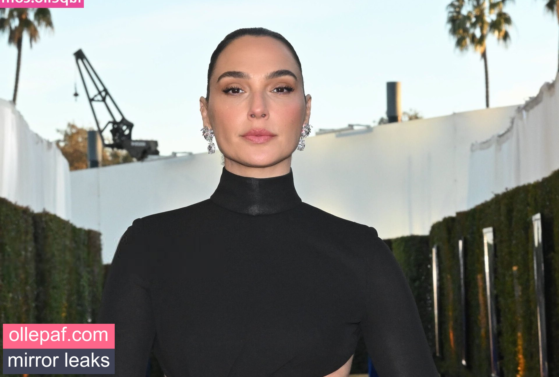 Latest Leaks gal_gadot Nude #23 - Fapello