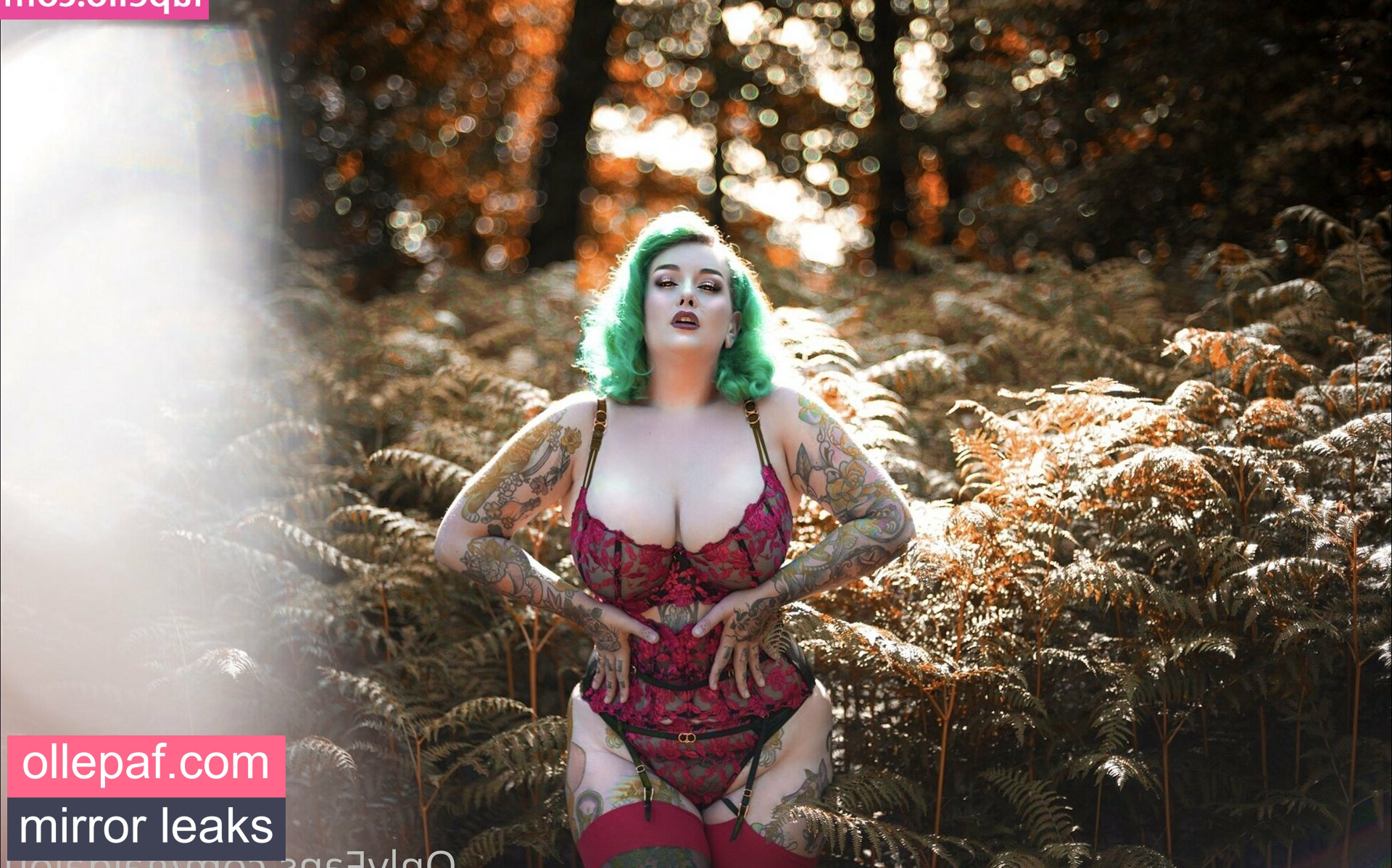 Latest Leaks GaldaLou Nude #2 - Fapello
